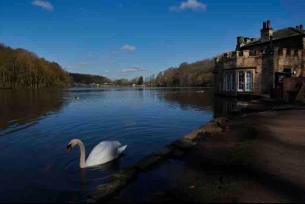Millstone Cottage Newmillerdam Hill Top Exterior photo